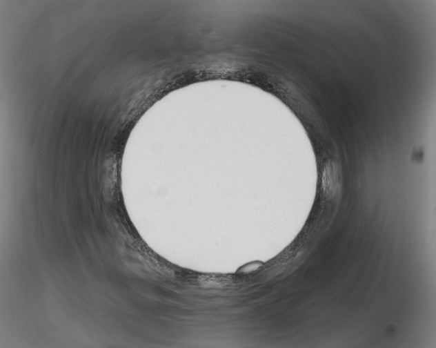 X0000115631299200912221240