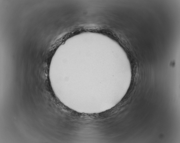 X0000115631301200912221240