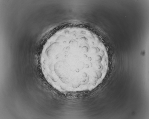 X0000115631302200912221241