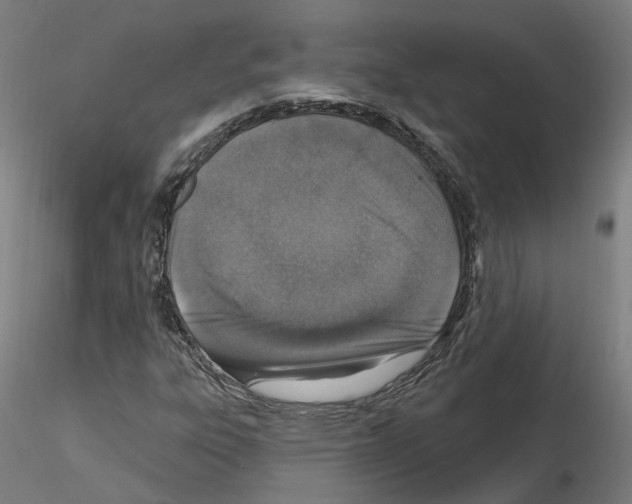 X0000115631303200912221241