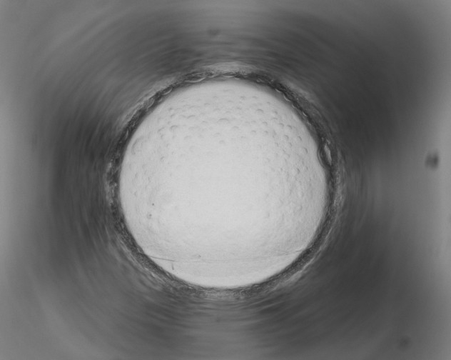X0000115631305200912221241