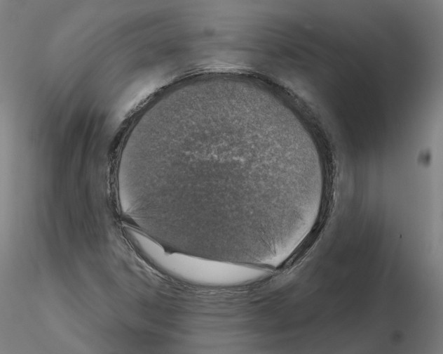X0000115631306200912221241