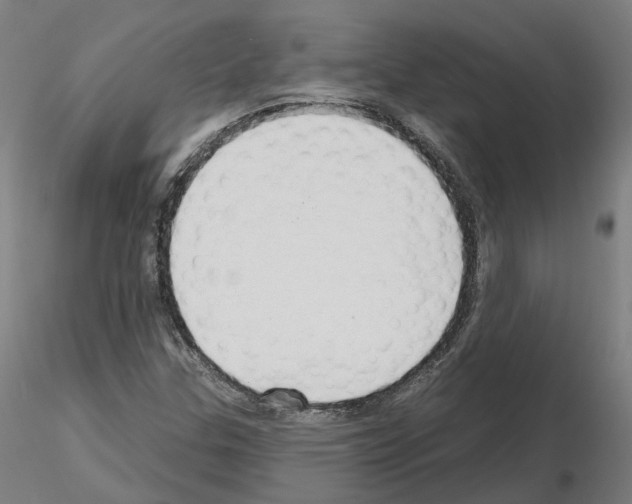 X0000115631307200912221241