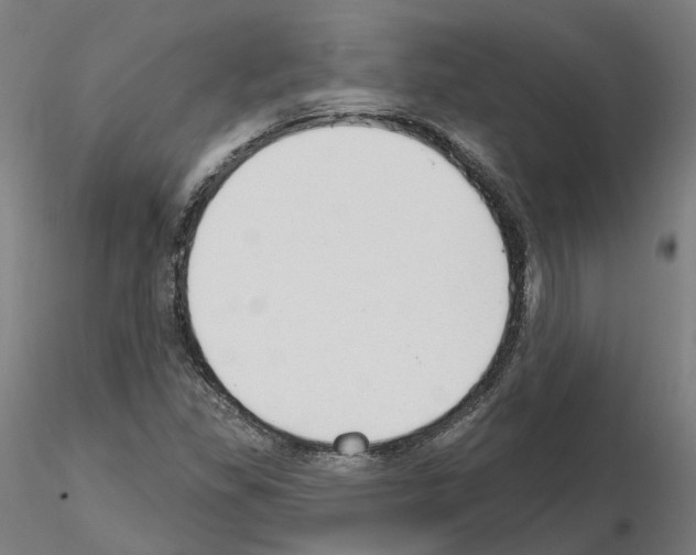 X0000115631309200912221241