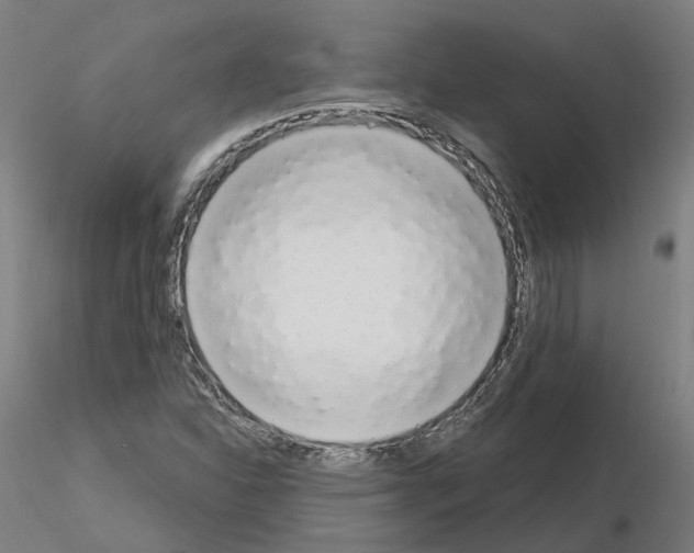 X0000115631310200912221241