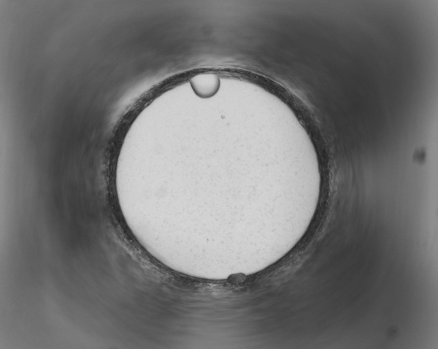 X0000115631311200912221241
