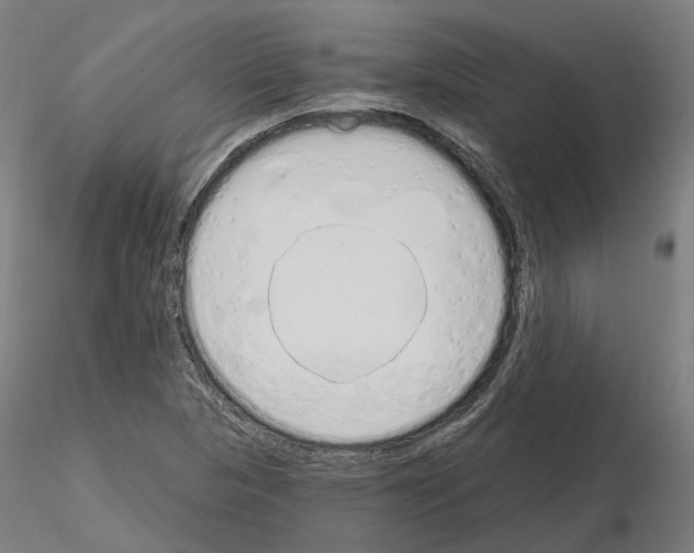 X0000115631313200912221241