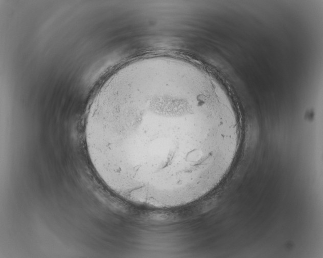 X0000115631314200912221241