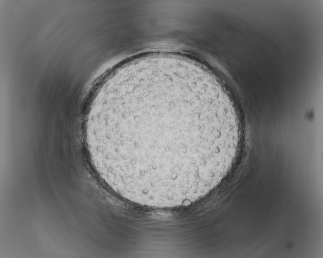 X0000115631315200912221241