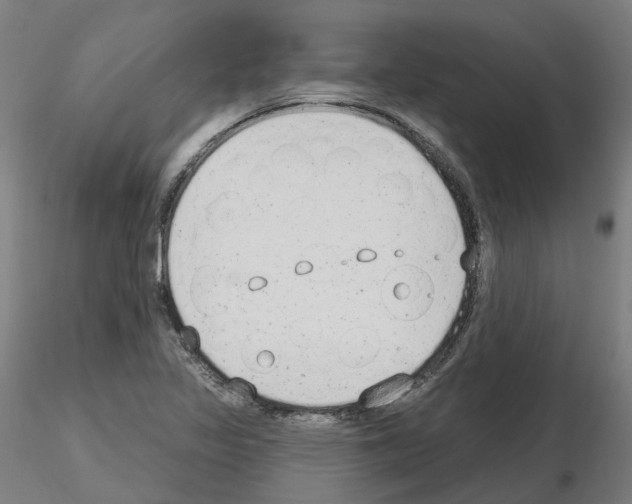 X0000115631317200912221241