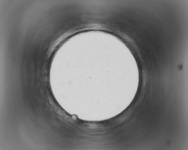 X0000115631318200912221241
