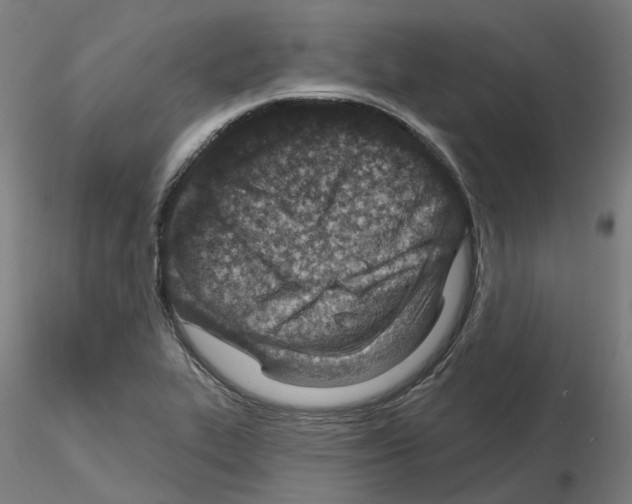 X0000115631319200912221241