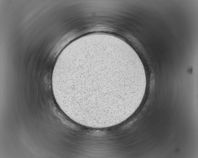 X0000115631321200912221241