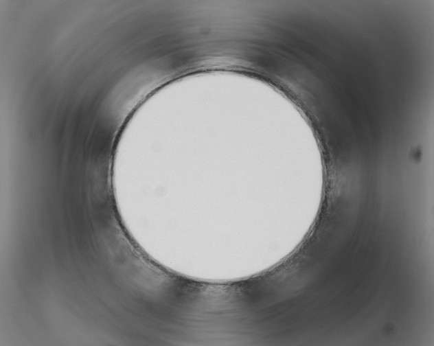 X0000115631322200912221241