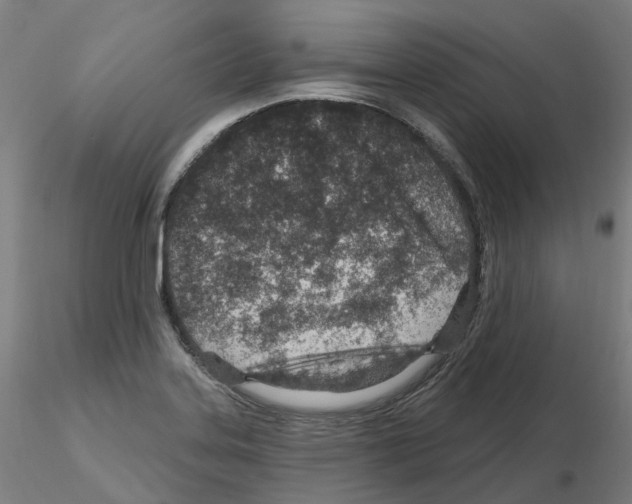 X0000115631323200912221241