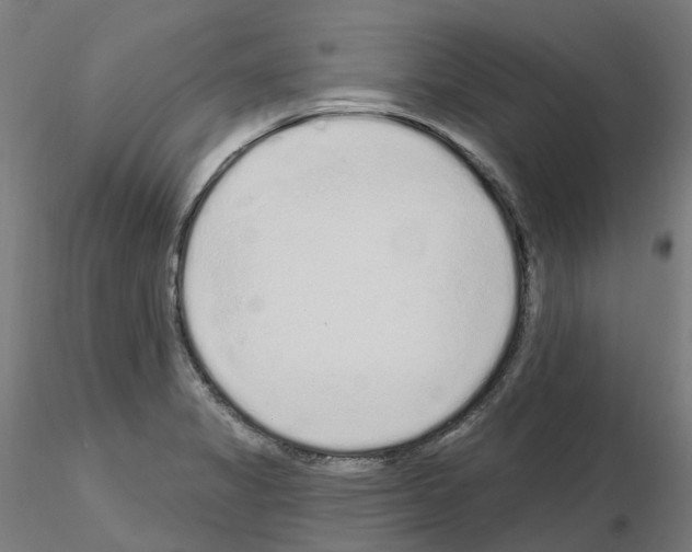 X0000115631325200912221241