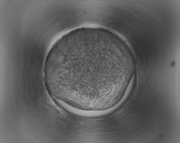 X0000115631327200912221241