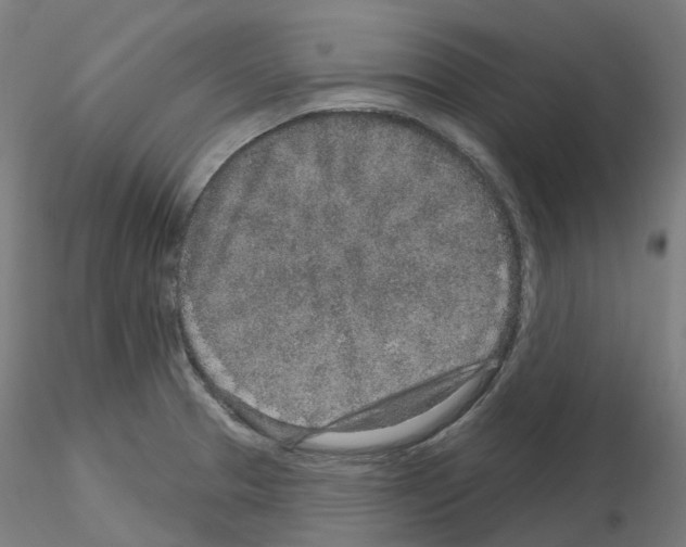X0000115631329200912221241