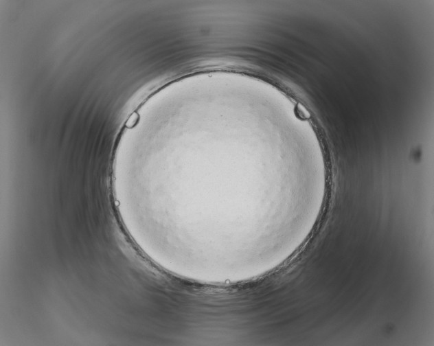 X0000115631330200912221241