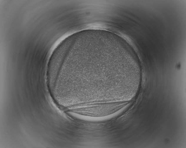 X0000115631331200912221241