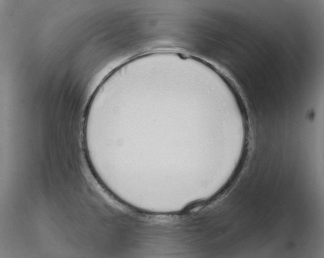 X0000115631333200912221241