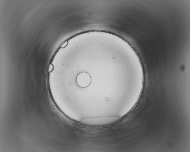 X0000115631334200912221241