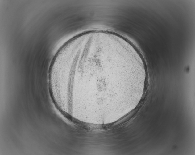 X0000115631335200912221241