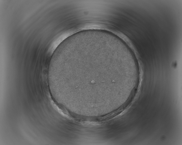 X0000115631337200912221241