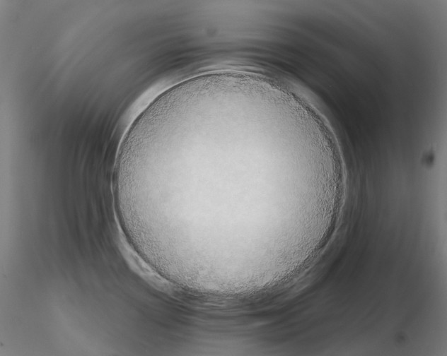 X0000115631338200912221241