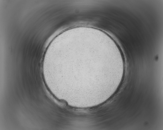 X0000115631341200912221241