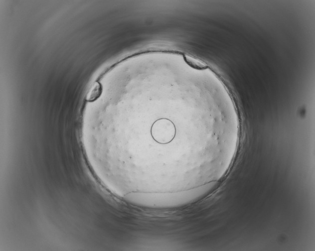 X0000115631342200912221241
