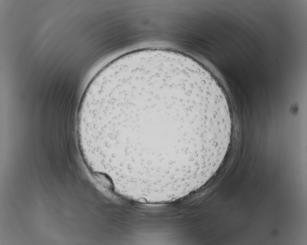 X0000115631343200912221241