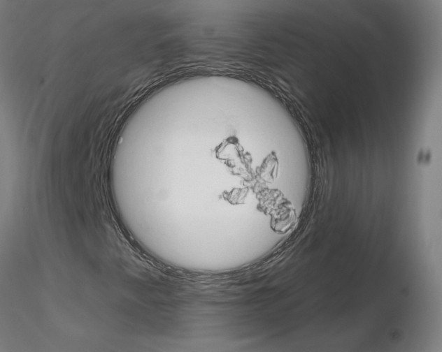 X0000115631345200912221240