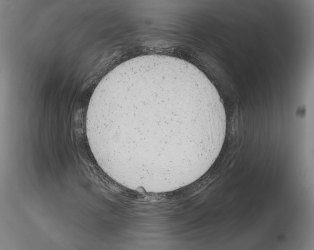 X0000115631346200912221240
