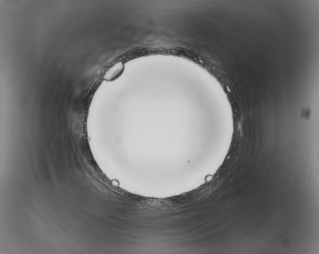 X0000115631348200912221240