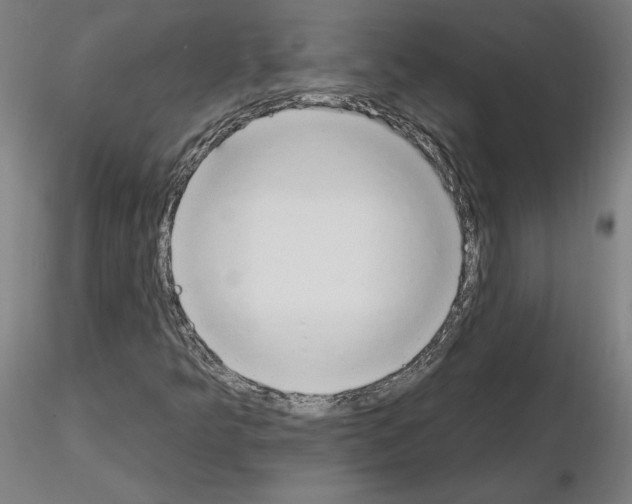 X0000115631349200912221240