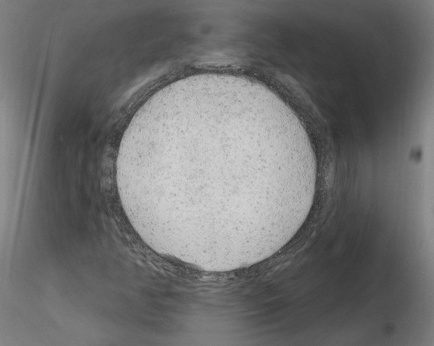 X0000115631350200912221240
