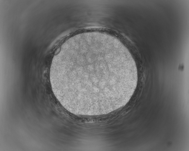 X0000115631351200912221240