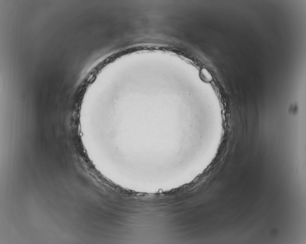 X0000115631352200912221240