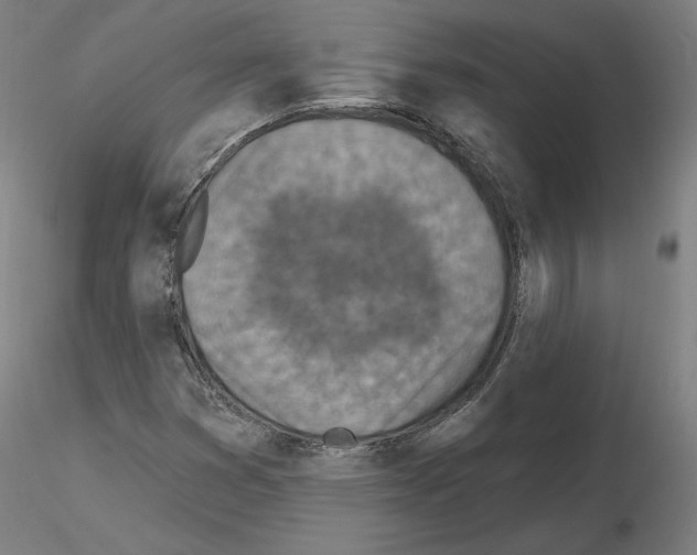 X0000115631353200912221240