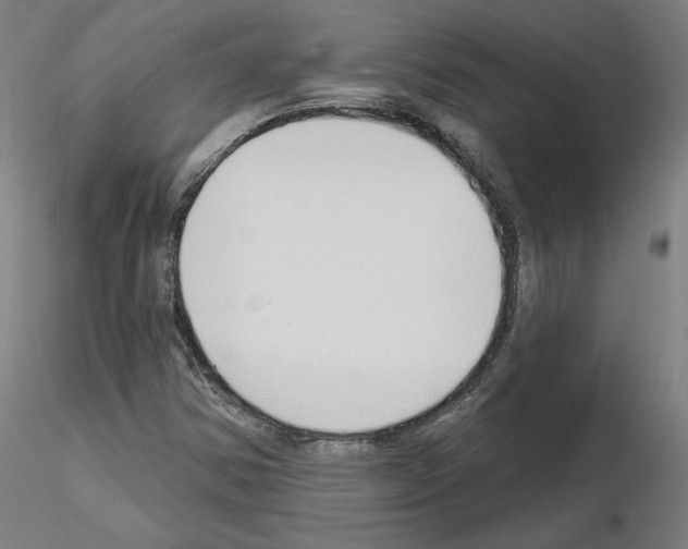 X0000115631354200912221240