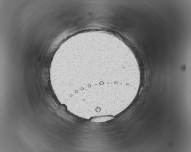 X0000115631355200912221240