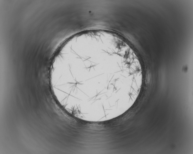X0000115631356200912221240