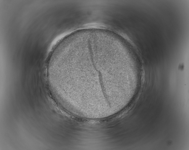 X0000115631358200912221240