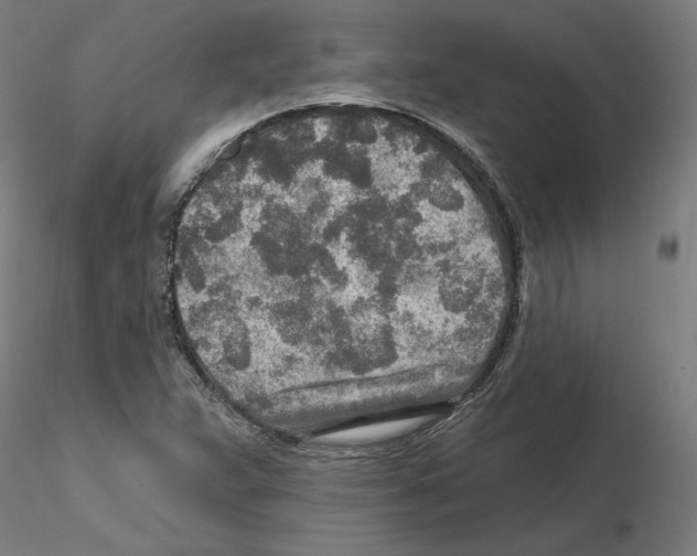 X0000115631359200912221240