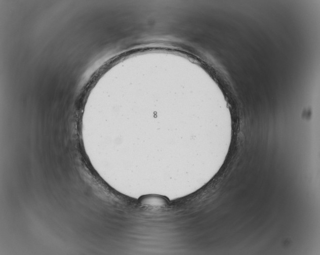 X0000115631360200912221240