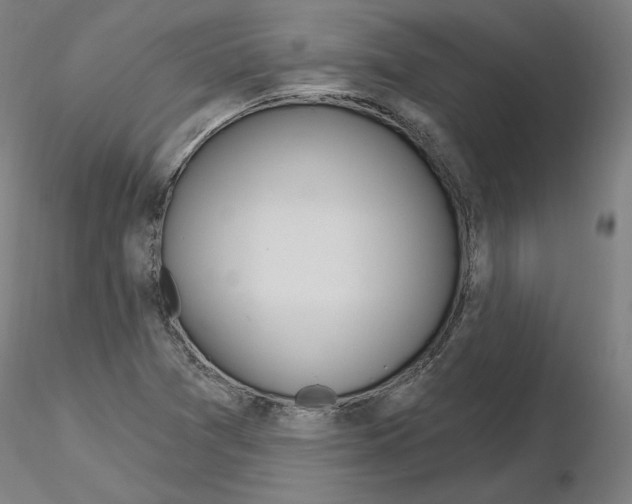 X0000115631361200912221240