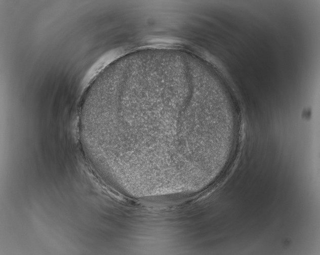 X0000115631362200912221240