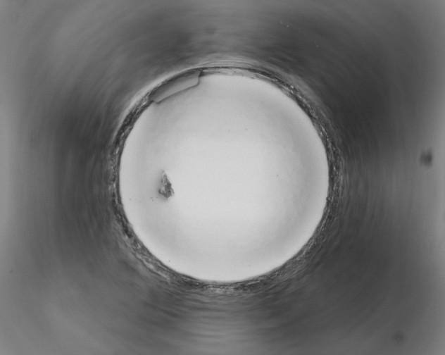 X0000115631364200912221240