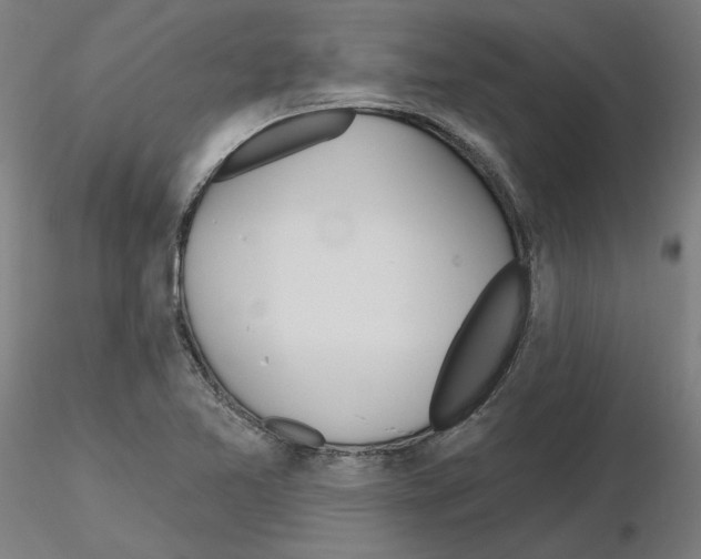 X0000115631365200912221240